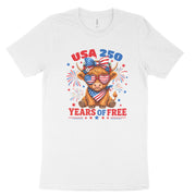 USA Highland Cow
